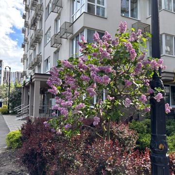 Академіка Заболотного вул., 15-Б