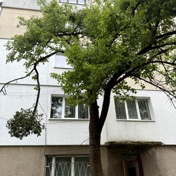 Львівська, 12