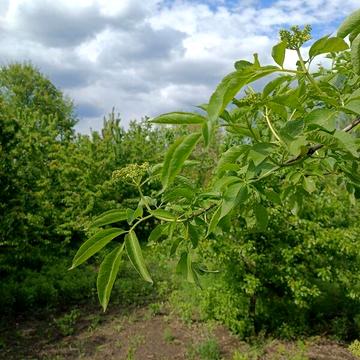 Продаж 4к Дім Сергія Байдалюка (Першотравнева) вулиця