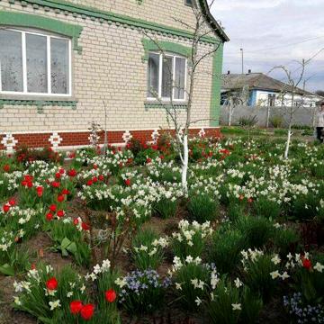 Продам будинок в м.Тетіїв