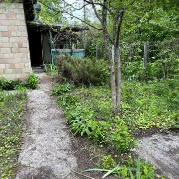 Продам дачу садове товариство АРГО с.Чубинське