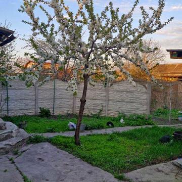 Продам 1/2 будику 2-й занасип