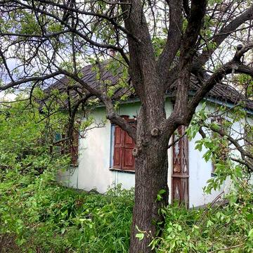 Продам ділянку з будинком с. Землянка, Обухівський р-н