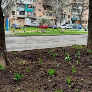 Радісна вул., 25