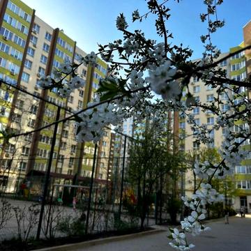 Академіка Шалімова 69б, ЖК Софіївський квартал. 5 поверх, 64 м2 ЖК Софіївський квартал