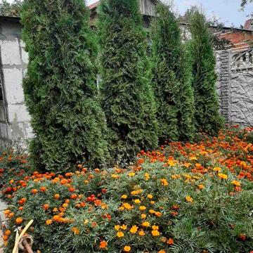Продам дачу на Барановке