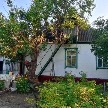 Продам два дома на участке 12 квартал, Корея