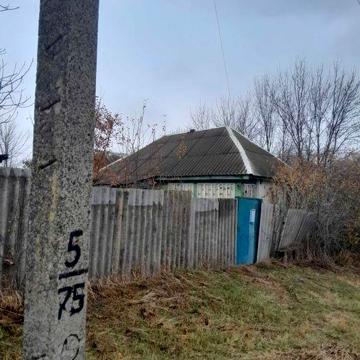 Будинок в центрі