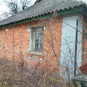 Здам в оренду будинок
