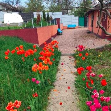 Продам капітальний цегляний будинок в Дергачах