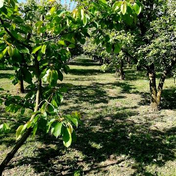 Продаж 4к Дім Галини Красницької (Жовтнева) вулиця