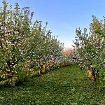 Продаж 4к Дім Галини Красницької (Жовтнева) вулиця