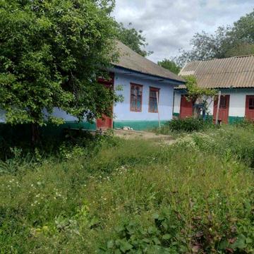 Здаю в оренду будинок   с гарним двором і огородом є сарайчики