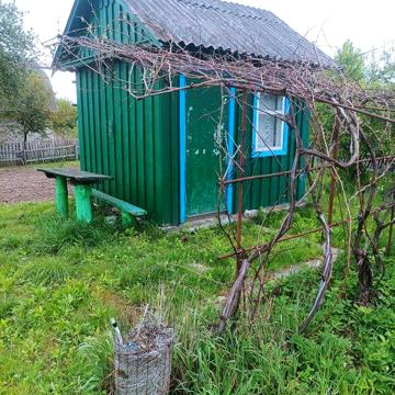 Продам дачу в кооперативі ялинка