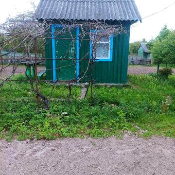 Продам дачу в кооперативі ялинка
