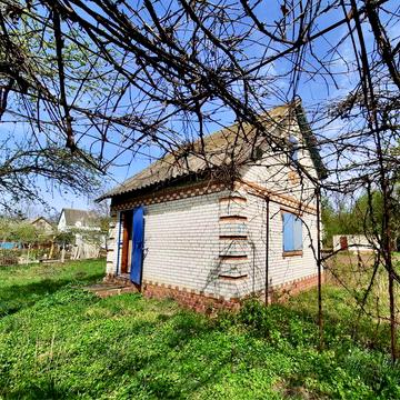 Дача на Олдиші поряд з річкою