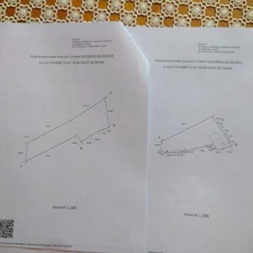 Житловий будинок в Карпатах з земельною ділянкою
