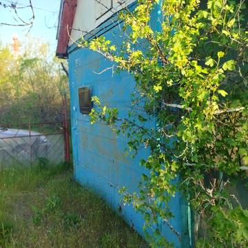 Продам дачу в п. Хорошево.