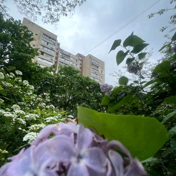 Митрополита Андрея Шептицького вул. (Анатолія Луначарського), 3-Б