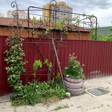 Здам частину будинку р он Н Будова1