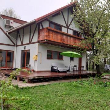 Великий дім в Гатному