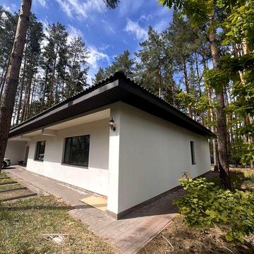 Сучасний екологічний  будинок у соснах