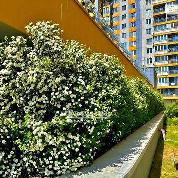 Продаж 2к Квартира Михайлівська (Індустріальна) вулиця