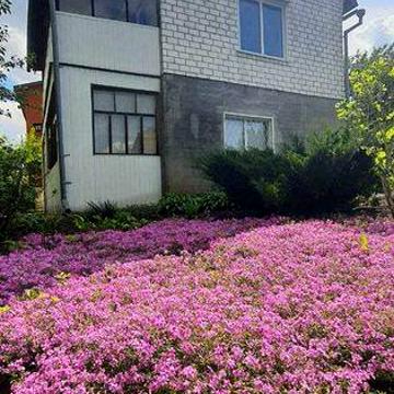 Продам дачу Гайдари в дачному кооперативі