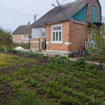 Дача Тетерівський масив