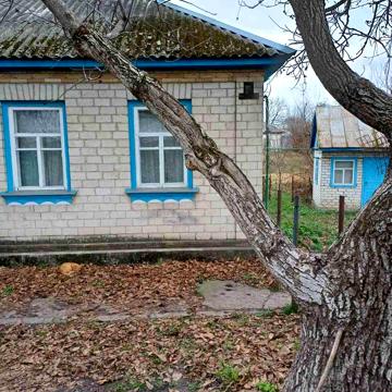 Благовісна