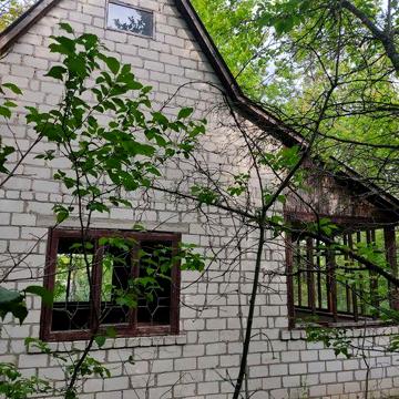 Дача біля заповіднека
