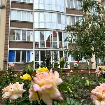 Продается 3к. квартира возле моря ЖК Академгородок