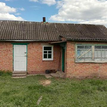 Здам невеликий будинок у м. Зіньків