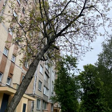 Чистяківська вул., 7