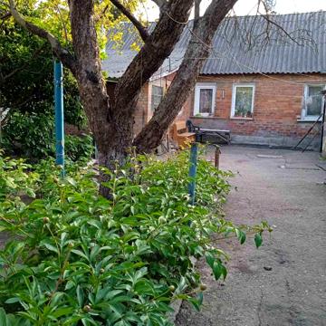 Миронівська вул. (Червоноселищна), 21