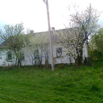 Здається будинок