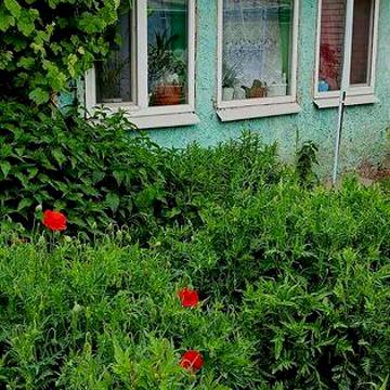Сдам домик.Днепр.Левый берег.Клинчик.