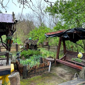 Продам будинок, дачу, Еко садибу в лісі Савранський район