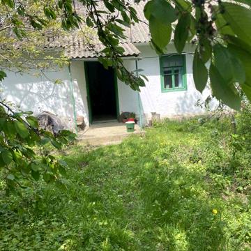 Будинок (земельна ділянка)