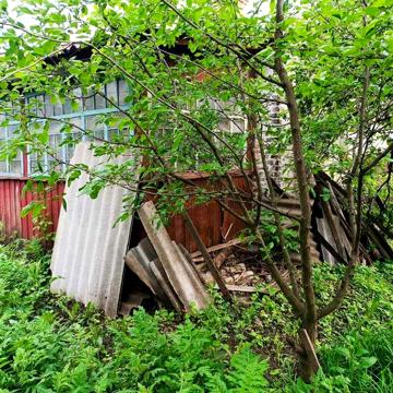 Продам будинок с. Бірки (Борки)