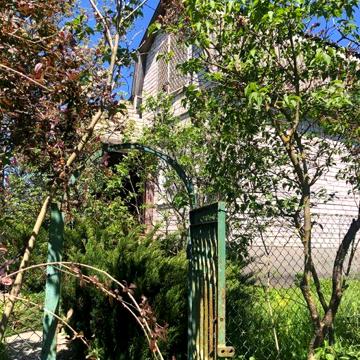 Продам дачу біля Березані