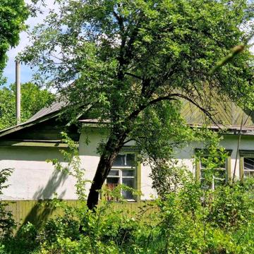 Продається окремий будинок практично в оточенні лісу
