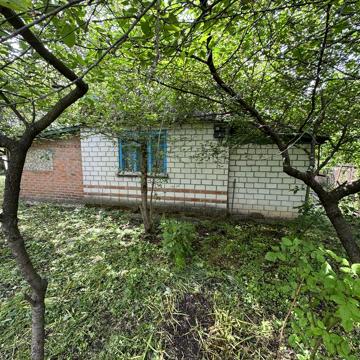Дача в Черкасах з будиночком. СТ Садівник