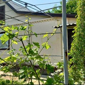 Продам ДАЧУ в Новомосковске