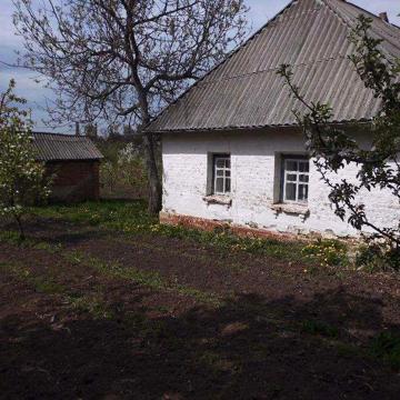 Продам будинок із молодим великим садом