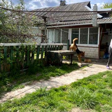 Терміново!!!продам хороший будинок в с.Семиполки,в центрі села.