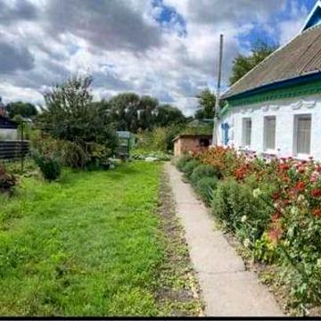 Продається будинок  с. Богодарівка