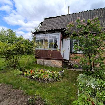 Файна Доглянута Дача За Мінімальною Ціною. Березанка