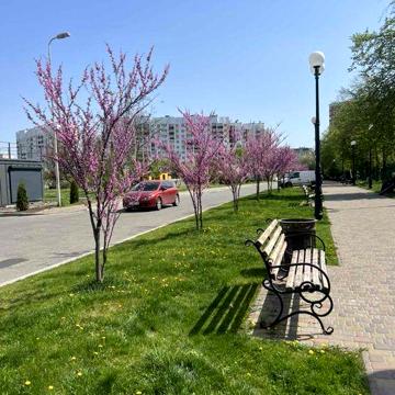 Продаж готових квартир від забудовника ЖК Сади Вишневі! ЖК Сади Вишневі
