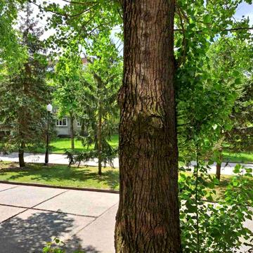 2-кімнатна квартира, 1 поверх, м-н Будівельників 7а